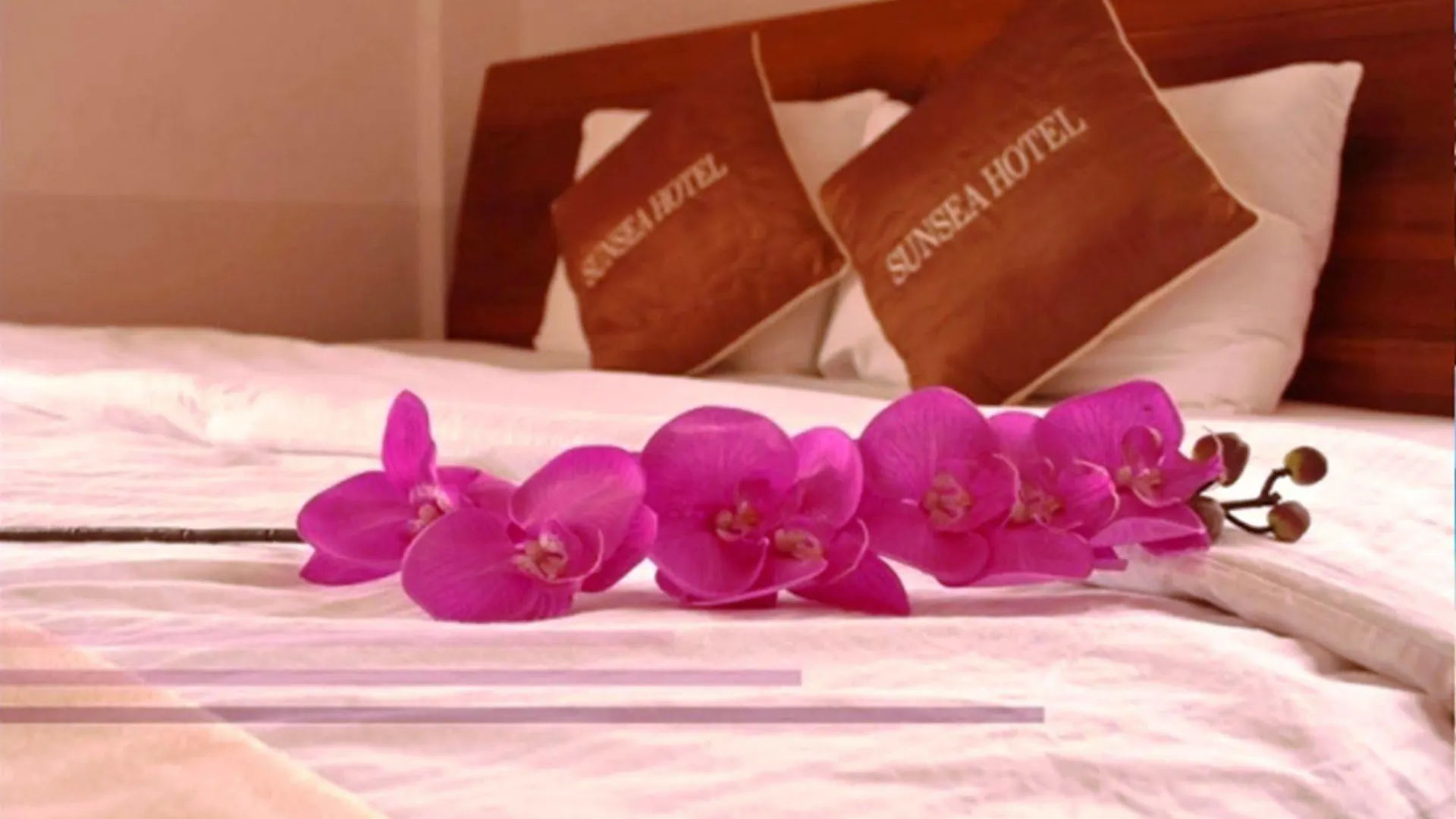 Hotel Onestar Danang Riverside